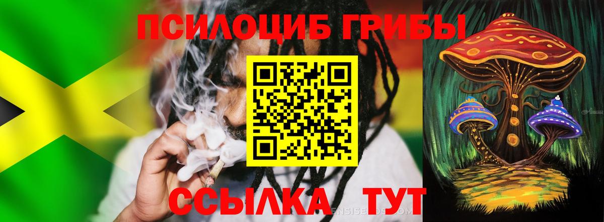 Галлюциногенные грибы прущие грибы Канаш