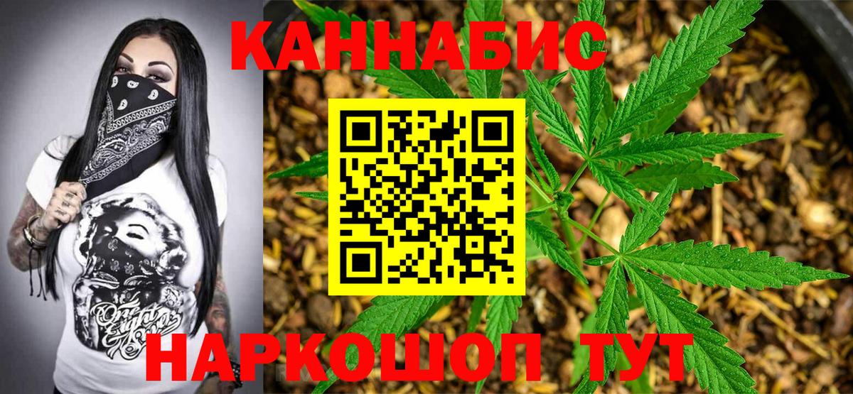 Конопля Ganja  Бошки Шишки тримм  Вход с VPN  Канаш 